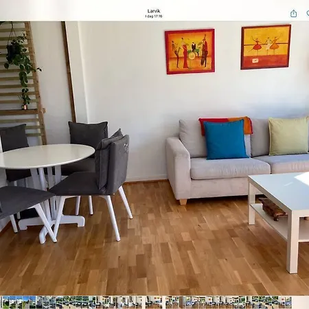 Lys Og Trivelig Leilighet I Larvik Extérieur photo