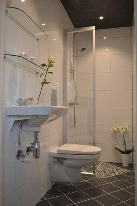 Lys Og Trivelig I Appartement *
