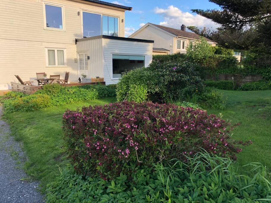 Appartement Lys Og Trivelig I *